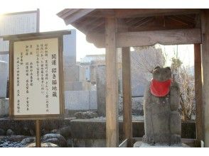 プランの魅力 常保寺【猫の御朱印】 の画像