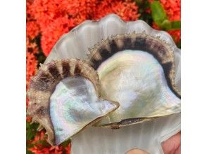 プランの魅力 珍珠被确认!您可以选择特级规格的Akoya珍珠牡蛎☆ の画像