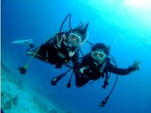 プランの魅力 Experience diving & fun dive の画像