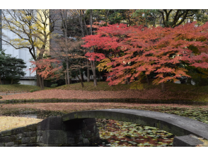 プランの魅力 小石川後楽園の紅葉 の画像