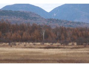 プランの魅力 小田代原（11月） の画像