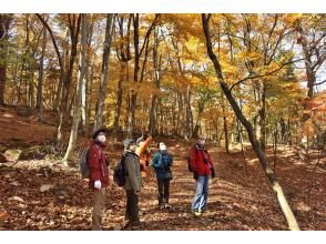 プランの魅力 秋の開催 の画像