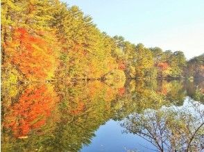 プランの魅力 曽原湖を彩る紅葉 の画像