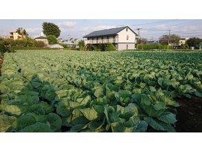 プランの魅力 「農の風景育成地区」をご紹介① の画像