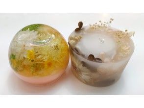 プランの魅力 の画像