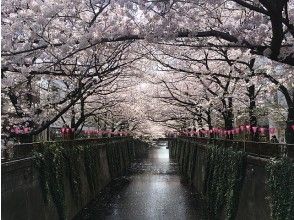 プランの魅力 目黒川の桜並木（※イメージ） の画像