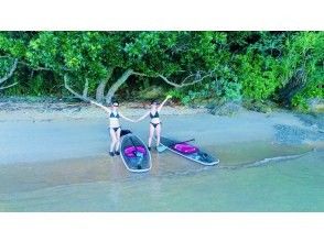 プランの魅力 GoPro＆4kドローン撮影も無料サービス付き！ の画像