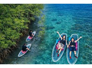 プランの魅力 半日で2つの絶景を巡るSUP体験‼︎ の画像