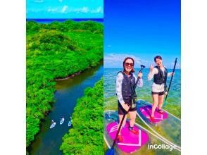 プランの魅力 絶景の海＆マングローブどっちも体験‼︎ の画像