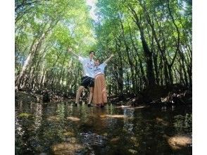 プランの魅力 マングローブ探索‼︎ の画像