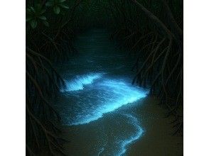 プランの魅力 パドルを漕ぐと海の中がキラキラ光る！【夜光虫】ツアー の画像