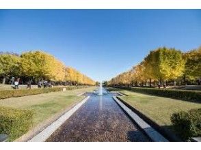 プランの魅力 国営昭和記念公園 の画像