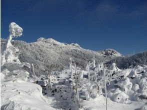 プランの魅力 坪庭の風景 の画像