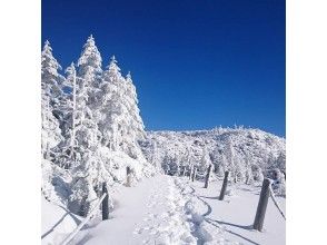 プランの魅力 樹氷も見もの の画像