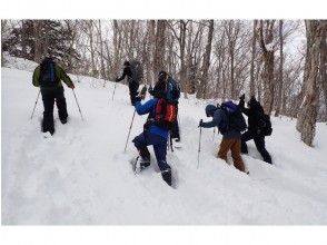 プランの魅力 附專業指導講座 の画像