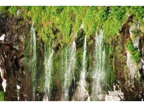 プランの魅力 地下水が岩の隙間から流れるフレぺの滝 の画像