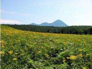 プランの魅力 The Shiretoko mountain range looks beautiful on a sunny day! の画像