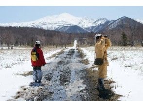 プランの魅力 フレペの滝を目指します！ の画像