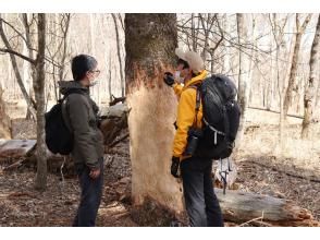 プランの魅力 こんなものも？② の画像