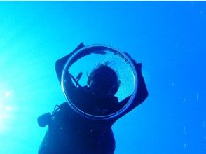 プランの魅力 祝你潛水愉快！ の画像