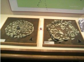 プランの魅力 在大屿山石圈博物馆了解历史 の画像