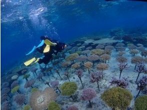 プランの魅力 の画像