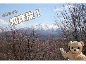 プランの魅力 の画像