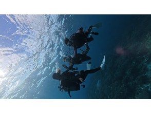 プランの魅力 Okinawa Onna Village Experience Diving の画像