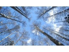 プランの魅力 映える写真スポットも! の画像