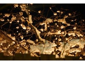 プランの魅力 灯りで照らされて幻想的な夜の雪 の画像