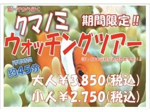 プランの魅力 For a limited time! Clark's anemone watching! !! の画像