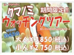 プランの魅力 期間限定！クマノミウォッチング！！ の画像