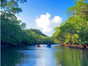 プランの魅力 癒やしの旅路。 の画像