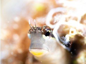 プランの魅力 ご予約お待ちしております♪ の画像