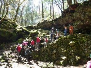 プランの魅力 Tree tourists will be guided to a natural cave that they will never step into. の画像