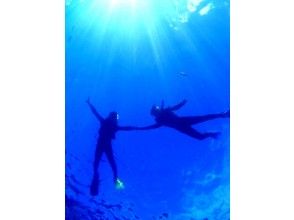 プランの魅力 海を飛ぶ の画像