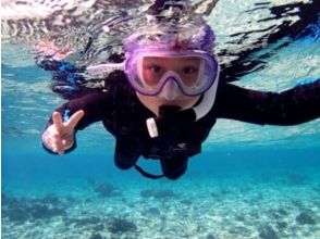 プランの魅力 海デビューにも！ の画像