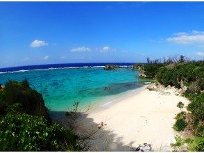 プランの魅力 南国沖縄を満喫！ の画像