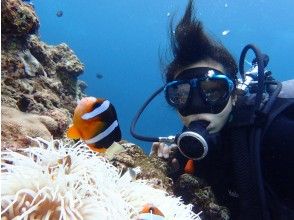 プランの魅力 Free photo shoot の画像