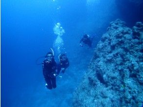 プランの魅力 地形好きも満足！ の画像