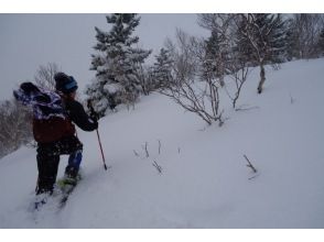 プランの魅力 如果你想體驗雪的深度，那就是這個地方！ の画像