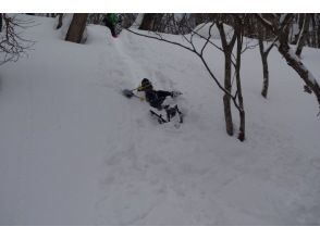 プランの魅力 雪深い斜面を尻滑り の画像