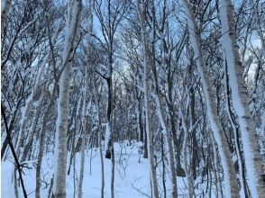 プランの魅力 安靜的雪山 の画像