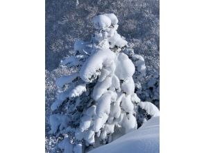 プランの魅力 我們去看看雪怪 の画像