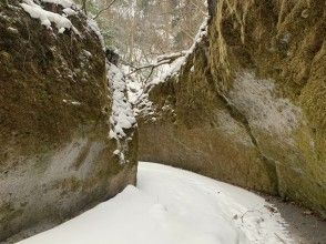 プランの魅力 苔藓走廊 の画像