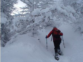 プランの魅力 ラッセル体験 の画像