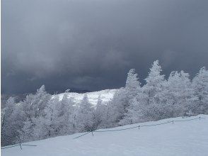 プランの魅力 雪景色・霧氷も楽しみ の画像