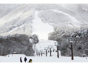 プランの魅力  の画像