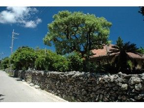 プランの魅力 鳩間島集落 の画像