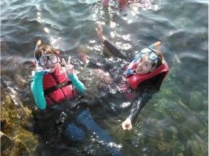 プランの魅力 夏天帶上呼吸管。 の画像